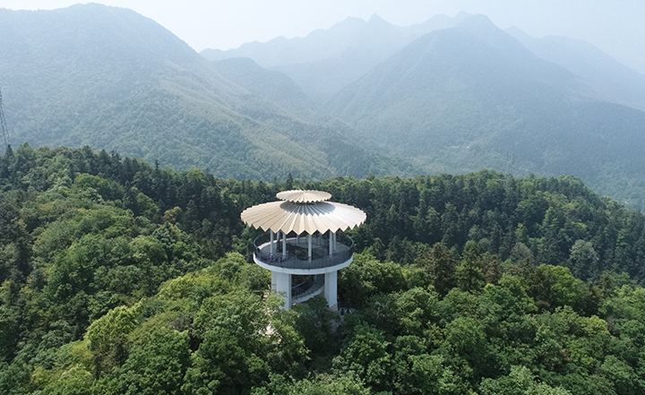 天花井森林公園